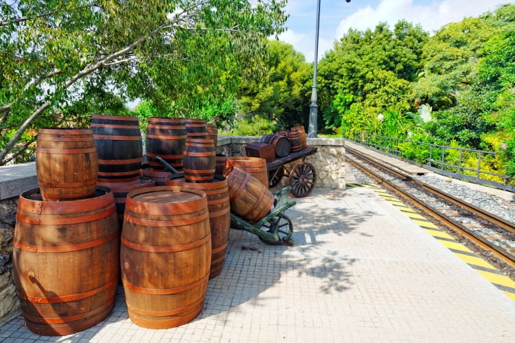 Wine barrels in a Texas Hill country vineyard